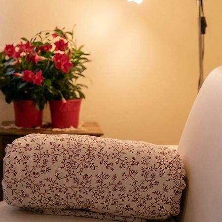 알바 La Casa In Collina 아파트 외부 사진